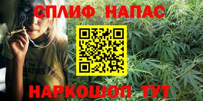 ГАЛЛЮЦИНОГЕННЫЕ ГРИБЫ Тверь