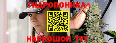 ГАЛЛЮЦИНОГЕННЫЕ ГРИБЫ Тверь