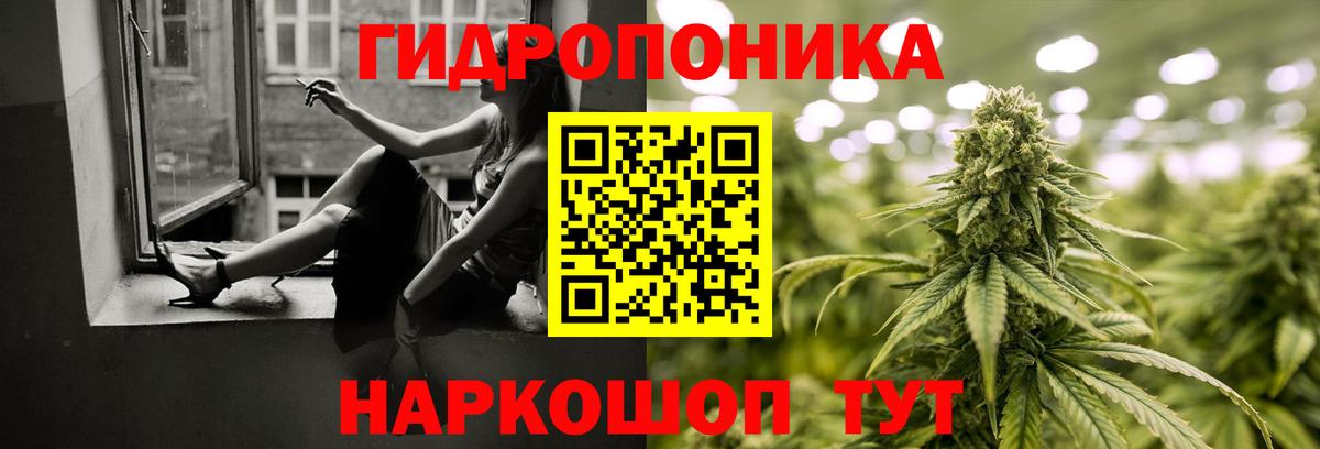 Шишки марихуана планчик Нефтекамск